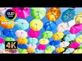 Umbrella Sky Screensaver 10 Hours 4k OLED Safe No Burn In 