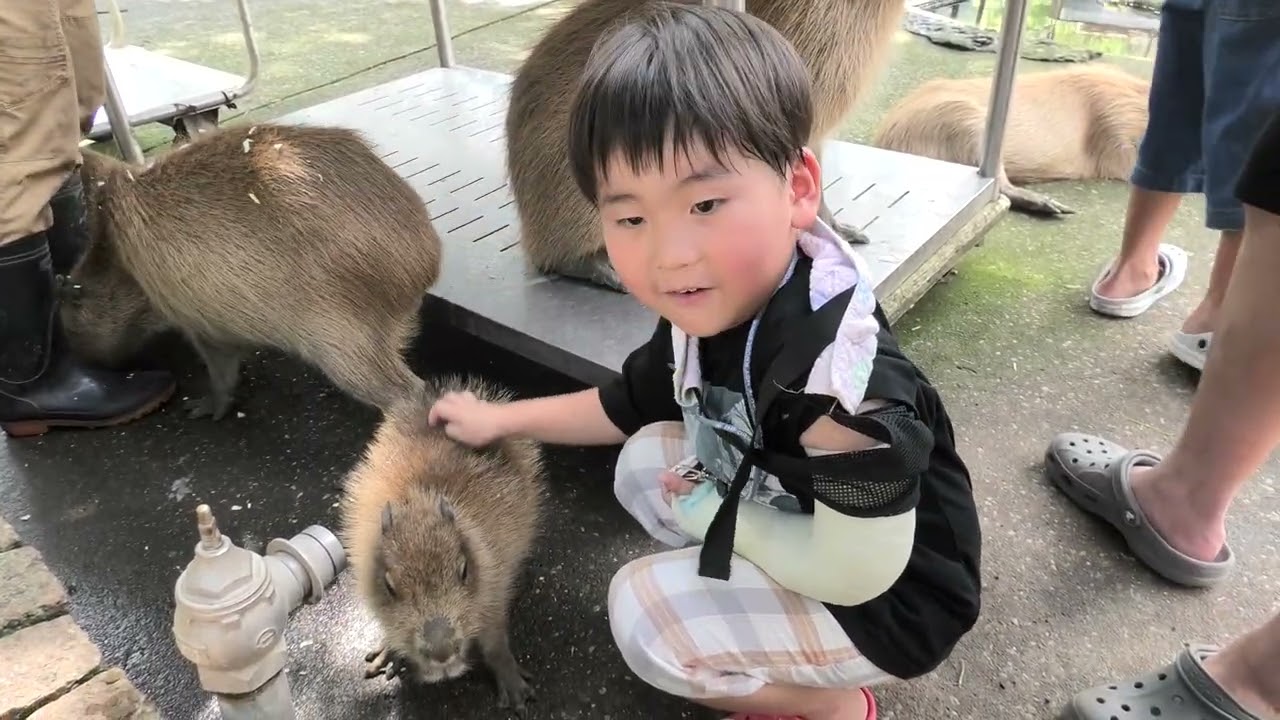 1894d5才2か月 250916R アニマルキングダム