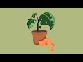 lofi for plants ~ a cottagecore lofi mix ~ relaxing chillhop beats to study/relax to