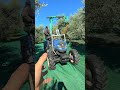 pro e contro della raccolta meccanizzata delle olive