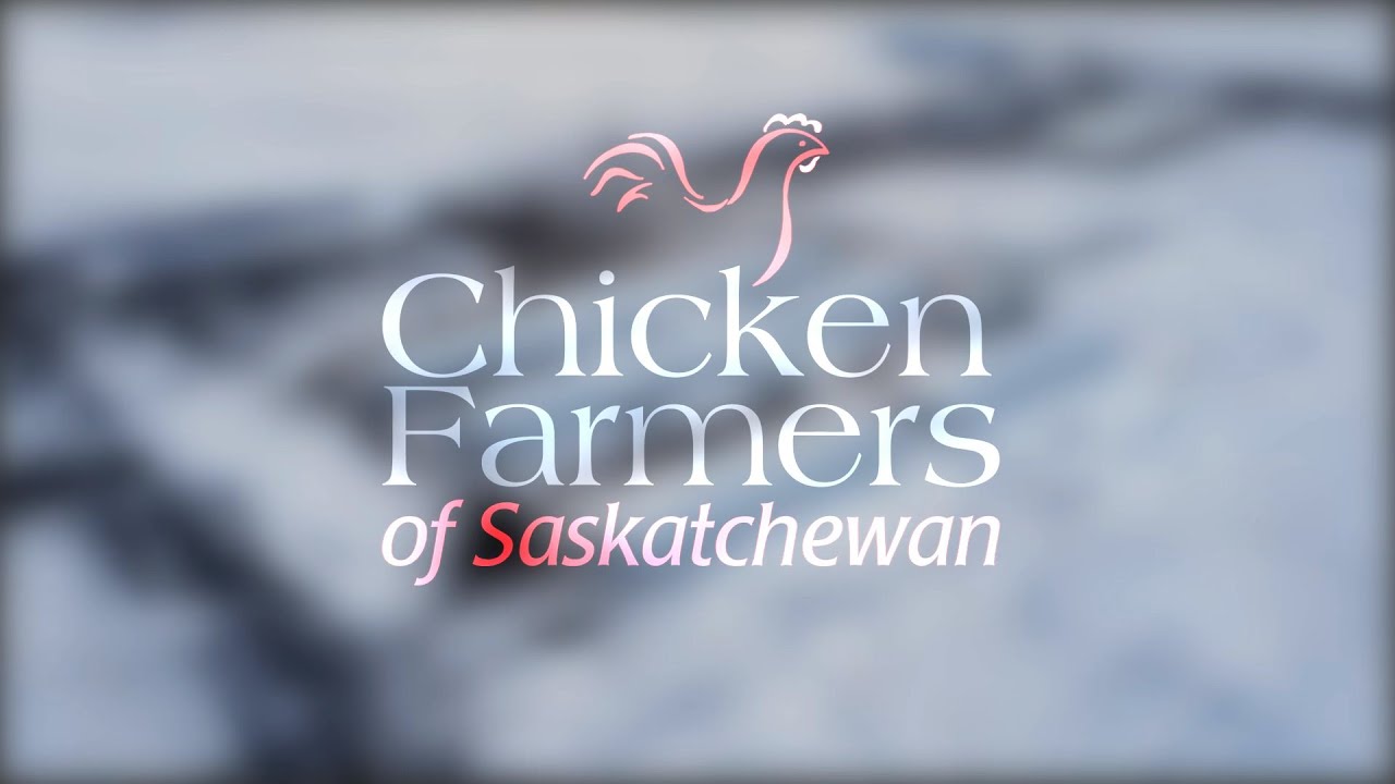 Chicken Farmers of Saskatchewan | Ask A Farmer