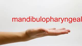 How to Pronounce mandibulopharyngeal - American English