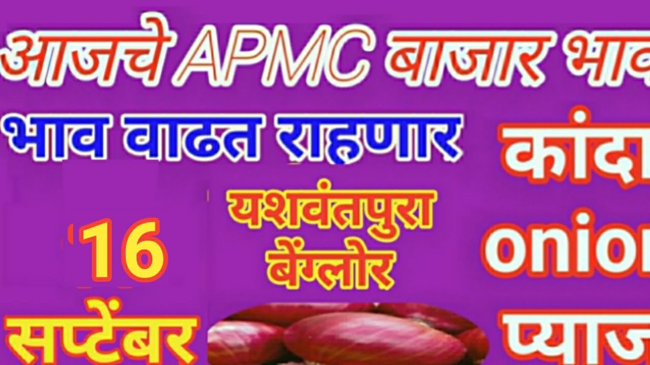 बेंग्लोर येथील कांदा बाजार भाव दि.16/09/2019