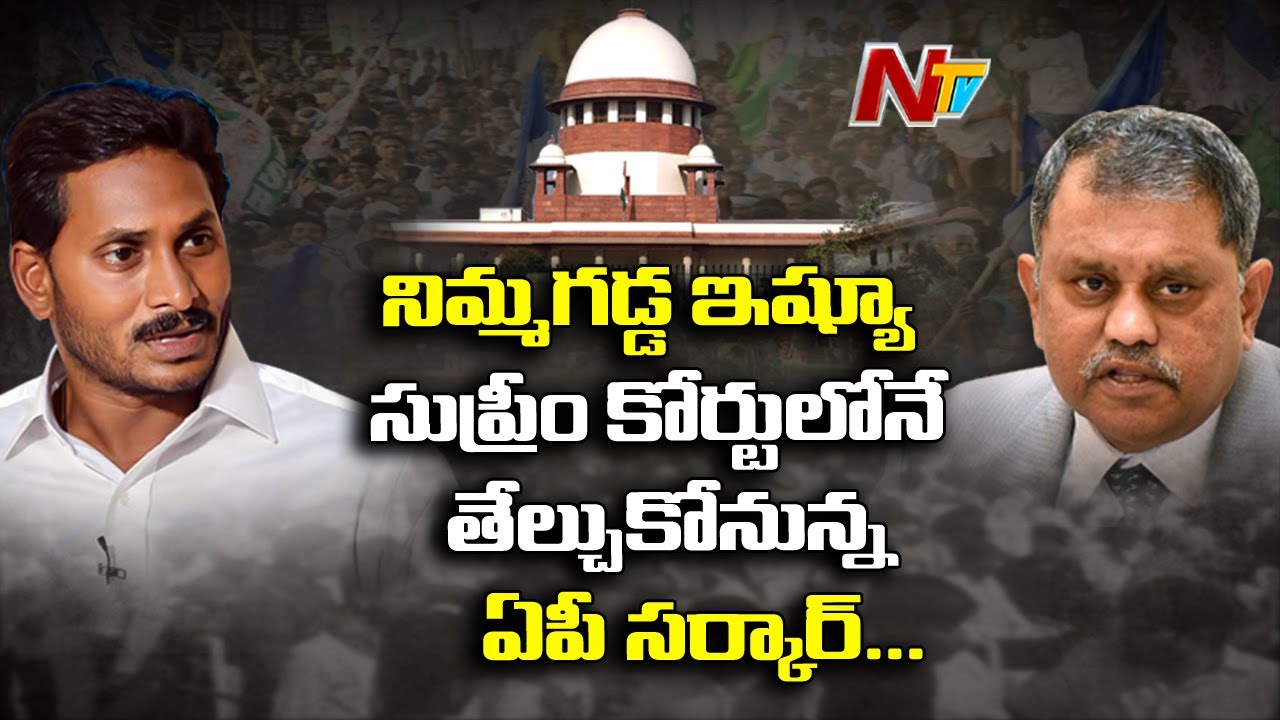 special leave petition cases