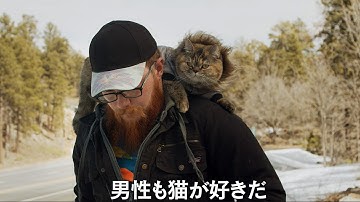 猫と男たちのドキュメンタリー！映画『猫と、とうさん』予告編
