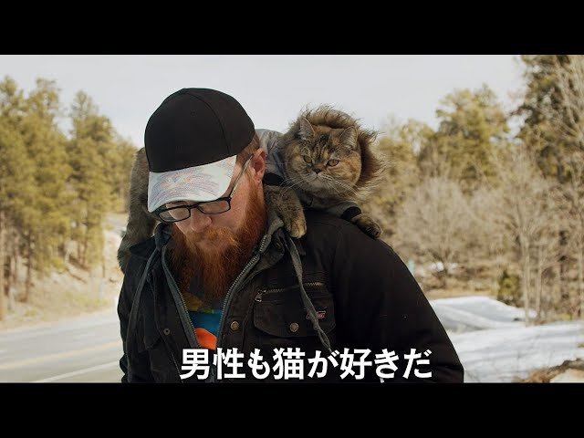 猫と男たちのドキュメンタリー！映画『猫と、とうさん』予告編