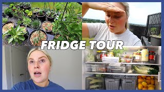 fridge tour & vegetable gardens 🧊 vlog 727