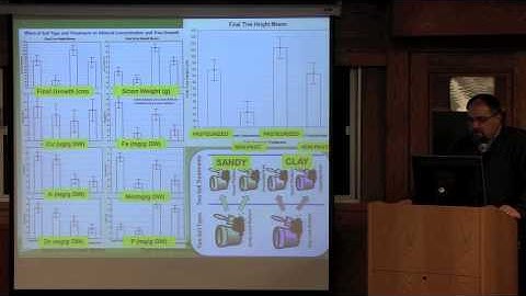 From root to fruit -- How rootstocks properties influence fruit production and quality