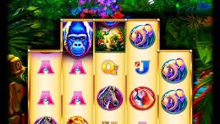 GORILLA GRAND Video Slot Casino Game with a FREE SPIN BONUS screenshot 4