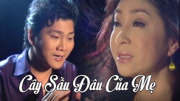 Cây Sầu Đâu Của Mẹ - Ca Cổ Tân Cổ Hay Cảm Động Nhất || NSUT. Đào Vũ Thanh & NSUT. Thoại Mỹ