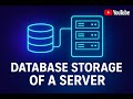 How data centers work and why AI is driving their growth