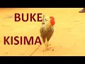 Kisima Majabala Song Buke