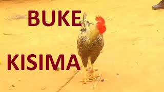 Kisima Majabala Song Buke