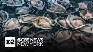 Oysters shipped to New York from Canada may be contaminated