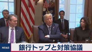 トランプ氏 銀行トップと対策協議　新型コロナウイルスで