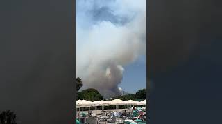 Лесной пожар близ отеля #Турция #Кемер #Новости #shorts