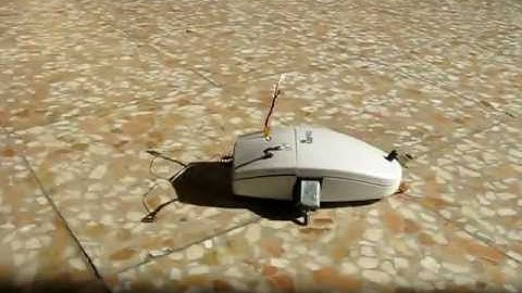 Mousey the junkbot, lm386 photovore