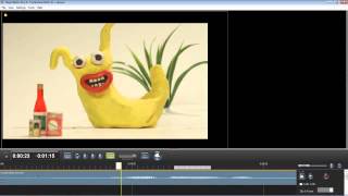 Celebrity Lip sync your stop motion animation Wealth
