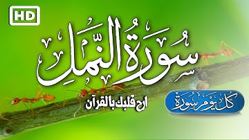 سورة النمل كاملة تلاوات زكية ستريح أعصابك ♥️ | القارئ ماجد الدعوس  Surah An-Naml
