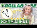 *Best Scores* at Dollar Tree in February 2024! (New Solar Lights, Organization, Spring Arrivals!)