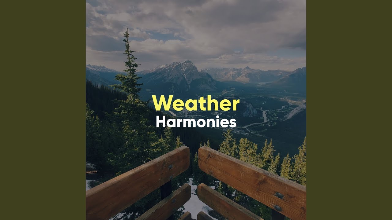 The Enchanted Creek YouTube