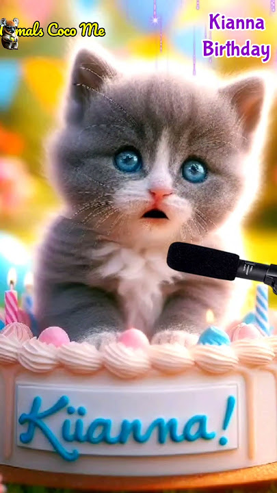 HAPPY BIRTHDAY TO YOU KIANNA | HAPPY BIRTHDAY SONG WITH NAMES | Adorable Cute Cat 😺 #cat #cute