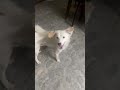 Live highlight