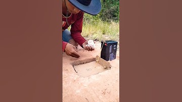 Create Bird Trap-Using Cardboard And Ah koy #trap #shorts