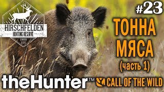 theHunter call of the wild #23 🔫 - Тонна Мяса (часть 1) - Арбалет, Револьвер - Кабан, Лиса, Косуля theHunter call of the wild #23 🔫 - Тонна Мяса (часть 1) - Арбалет, Револьвер - Кабан, Лиса, Косуля