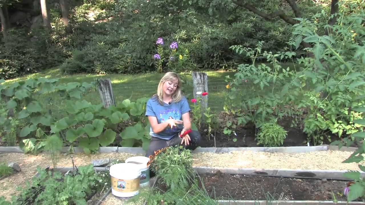 Preparing Soil With Neptune's Harvest