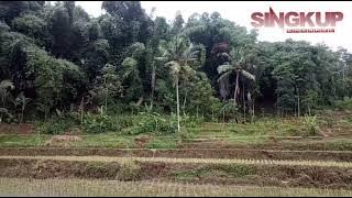 REUMIS GIRIMIS KASEDIH ( COVER VIDEO CLIP)