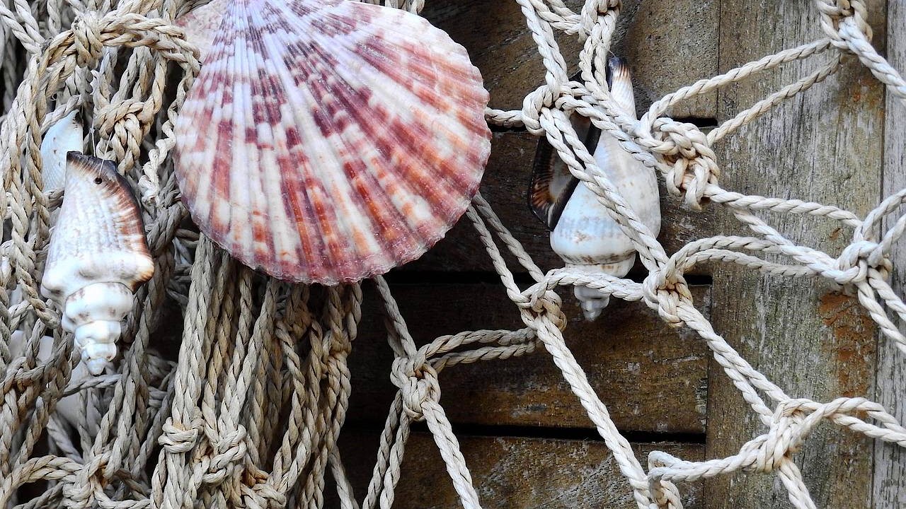 HOTB 233: A review of "What's eating America"