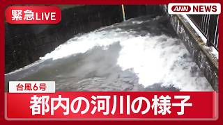 【緊急ライブ】台風6号 都内の河川状況 中野区と杉並区を流れる善福寺川・野川・仙川に｢レベル4氾濫危険警報｣【LIVE】(2026年6月3日) ANN/テレ朝