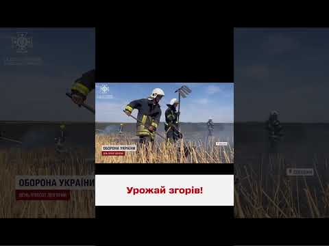 🔥😱 На Одещині