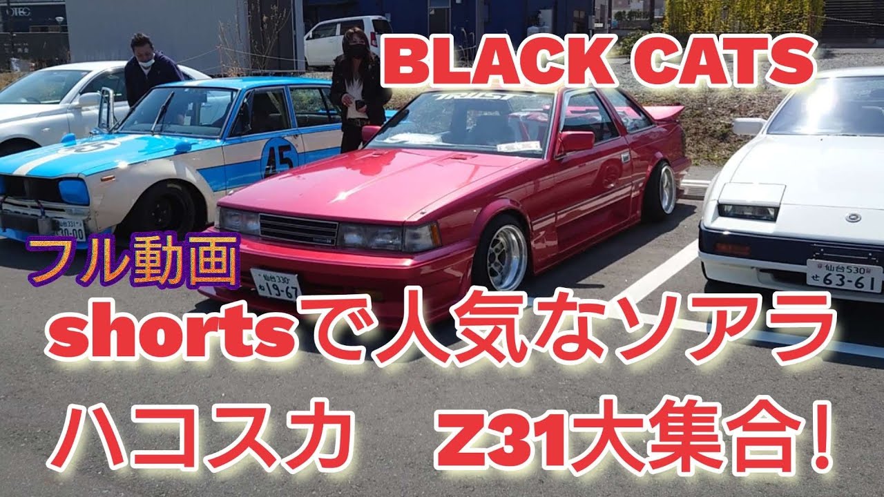 shortsで人気だったソアラとZ31とハコスカのフル動画!#旧車 #街道
