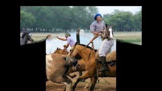 ESTANCIA DIA DE CAMPO CABALGATA PILETA ALOJAMIENTO ASADOR CRIOLLO ALMUERZO