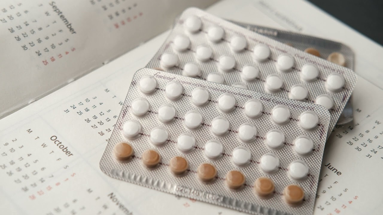 Internal Female Organs