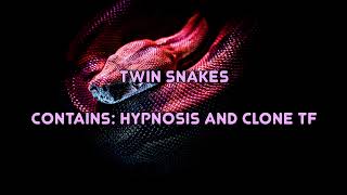 Audioplay Twin Snakes