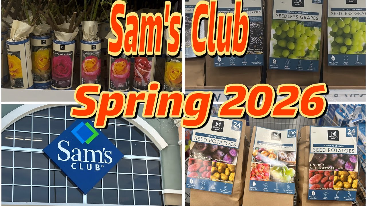 Весенние растения от Sam’s Club 2026 | Подготовка к весне
