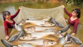 Harvesting A Lot Of Big Fish Goes To Market Sell, Take Care Chicken And Pig | Ly Tieu Toan