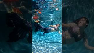 Many Mermaids #mermaid #professionalentertainer #pool #underwater #merfolk