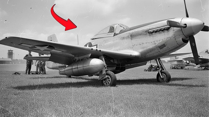 WW2 German Pilots Shocked as P-51 Mustangs Escorted Bombers All the Way to Berlin
