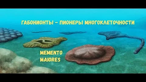 Габонионты - пионеры многоклеточности. Протерозой. Помни о предках