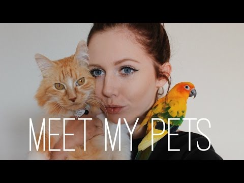 MEET MY PETS