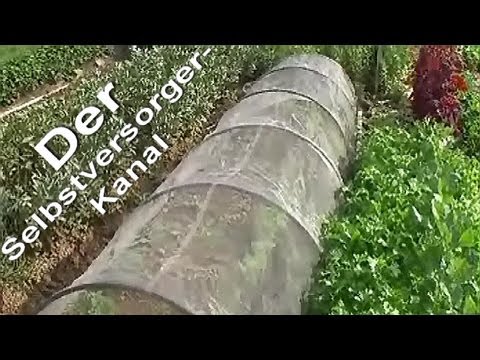 mulchgarten-mit-schneckenplage