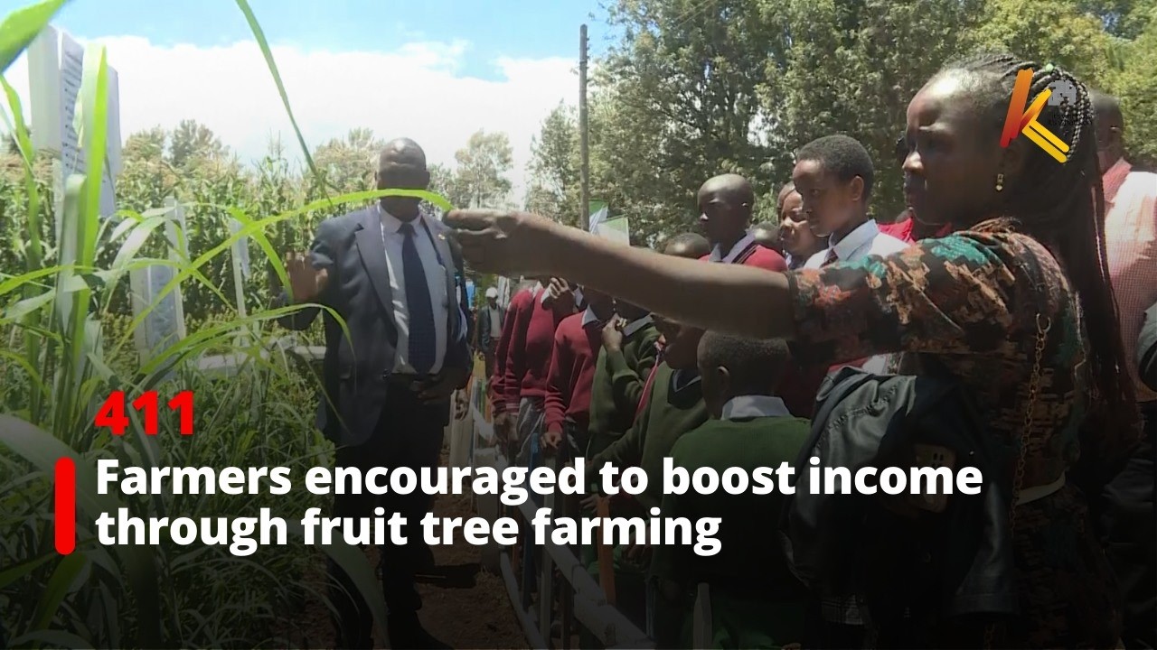 Фермеров призывают увеличить доход за счет выращивания фруктовых деревьев.