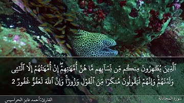 الصفحة 542 سورة المجادلة بصوت القارئ المهندس أحمد فايز الحراسيس