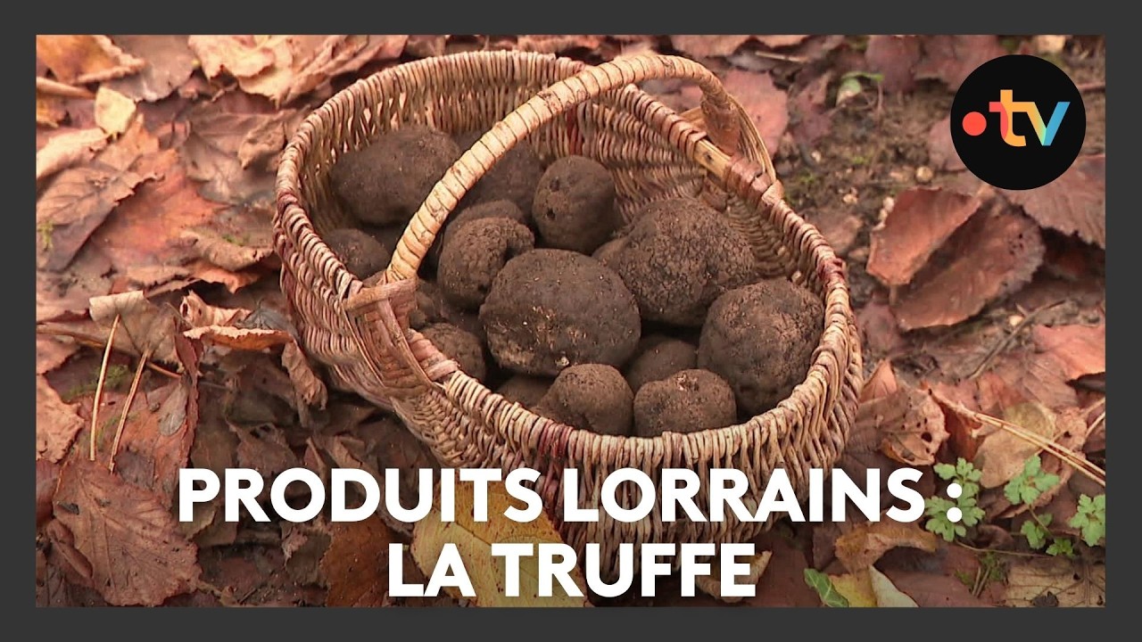 Les produits lorrains : la truffe
