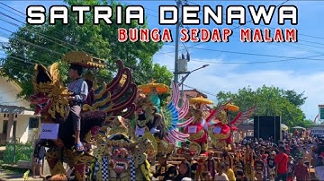 BUNGA SEDAP MALAM - Arak arakan SATRIA DENAWA 2023