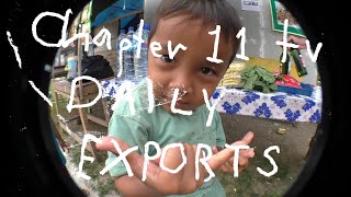 Handycam Indo: Daily Exports